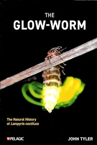 "The Glow-worm" by John Tyler